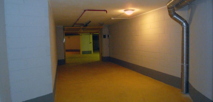 Rif. B1-B8 – B11 – B17 CAMOGLI Centro BOXES AUTO