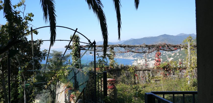 Rif. 47 CAMOGLI Villa da frazionare