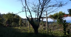 Rif. 47 CAMOGLI Villa da frazionare