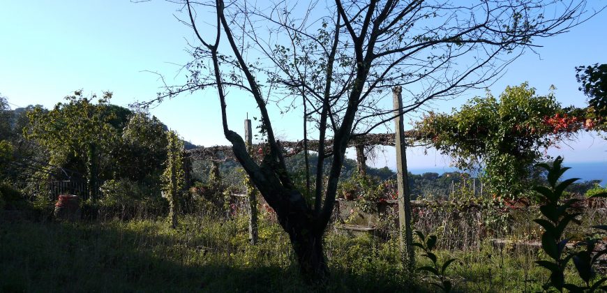 Rif. 47 CAMOGLI Villa da frazionare