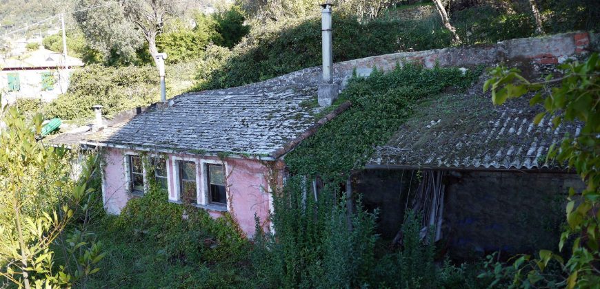 Rif. 47 CAMOGLI Villa da frazionare