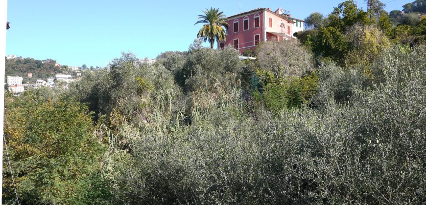 Rif. 47 CAMOGLI Villa da frazionare