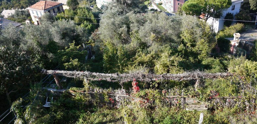 Rif. 47 CAMOGLI Villa da frazionare