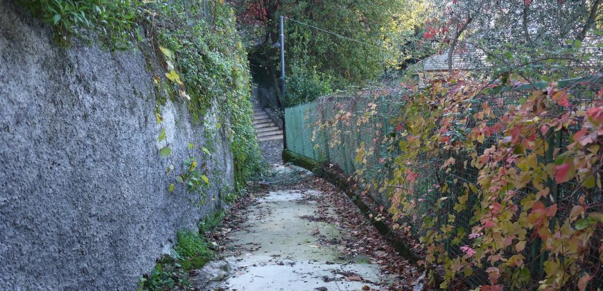 Rif. 47 CAMOGLI Villa da frazionare