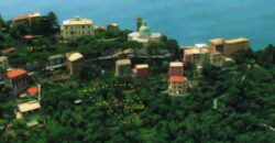 Rif. AT CAMOGLI San Rocco Terreno