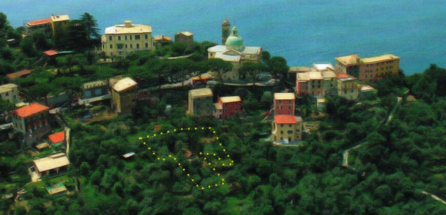 Rif. AT CAMOGLI San Rocco Terreno