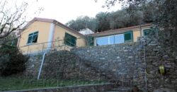 Rif. 22 – CAMOGLI VILLINO VENDESI