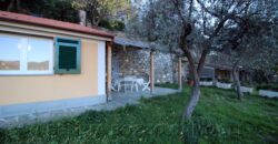 Rif. 22 – CAMOGLI VILLINO VENDESI