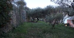 Rif. 22 – CAMOGLI VILLINO VENDESI