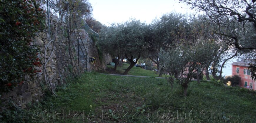 Rif. 22 – CAMOGLI VILLINO VENDESI