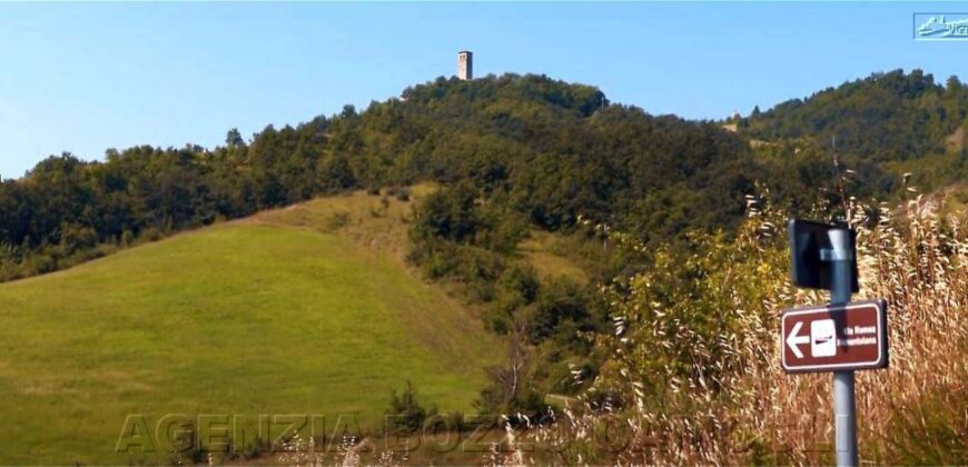 Rif. MF IMMOBILE COMMERCIALE PER INVESTIMENTO Rif. MF IMMOBILE COMMERCIALE PER INVESTIMENTO