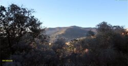 Rif. 21 CAMOGLI BEL VILLINO VENDO