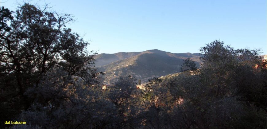 Rif. 21 CAMOGLI BEL VILLINO VENDO