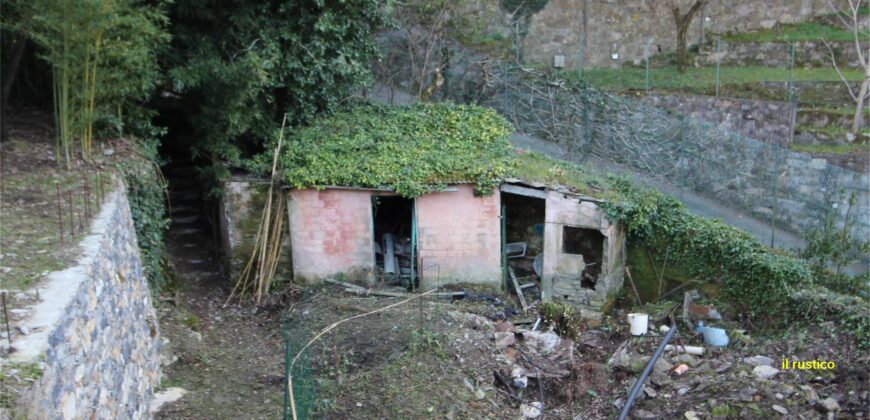 Rif. 21 CAMOGLI BEL VILLINO VENDO