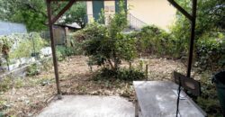 Rif. 51 CICAGNA SEMINDIPENDENTE