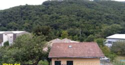 Rif. 51 CICAGNA SEMINDIPENDENTE