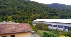 Rif. 51 CICAGNA SEMINDIPENDENTE