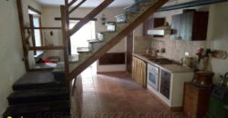 Rif. 51 CICAGNA SEMINDIPENDENTE