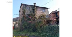 Rif. 51 CICAGNA SEMINDIPENDENTE