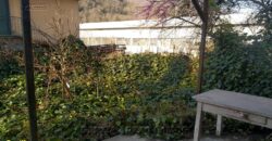 Rif. 51 CICAGNA SEMINDIPENDENTE