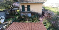 Rif. 51 CICAGNA SEMINDIPENDENTE