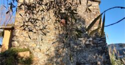 Rif. 17 – RUSTICO sul MONTE DI PORTOFINO