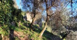 Rif. 17 – RUSTICO sul MONTE DI PORTOFINO