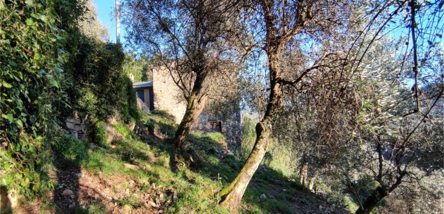 Rif. 17 – RUSTICO sul MONTE DI PORTOFINO