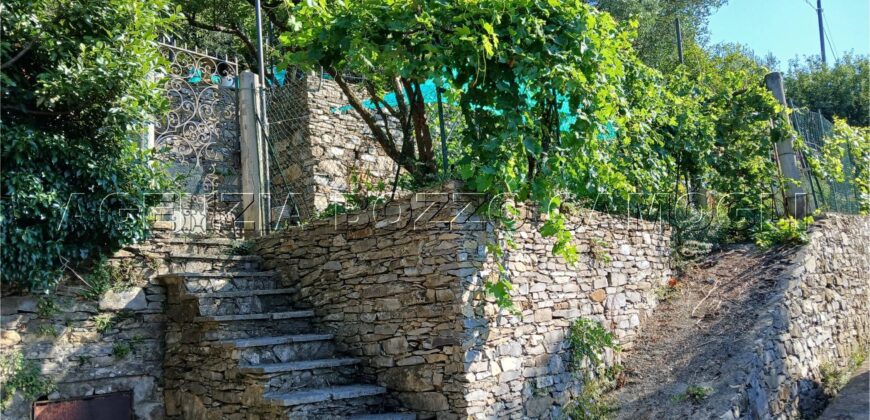 Rif. 26 – Locale con terreno Santa Margherita Ligure Rif. 26 – Locale con terreno Santa Margherita Ligure