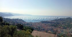 Rif. 26 – Locale con terreno Santa Margherita Ligure Rif. 26 – Locale con terreno Santa Margherita Ligure