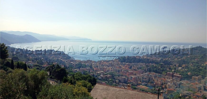 Rif. 26 – Locale con terreno Santa Margherita Ligure Rif. 26 – Locale con terreno Santa Margherita Ligure