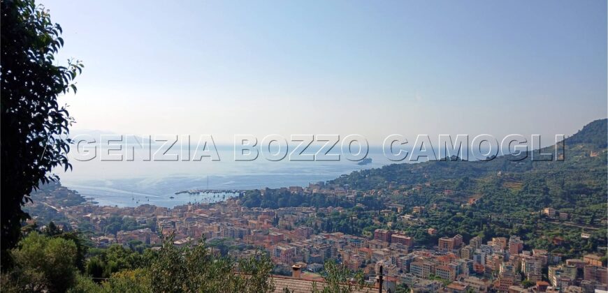 Rif. 26 – Locale con terreno Santa Margherita Ligure Rif. 26 – Locale con terreno Santa Margherita Ligure