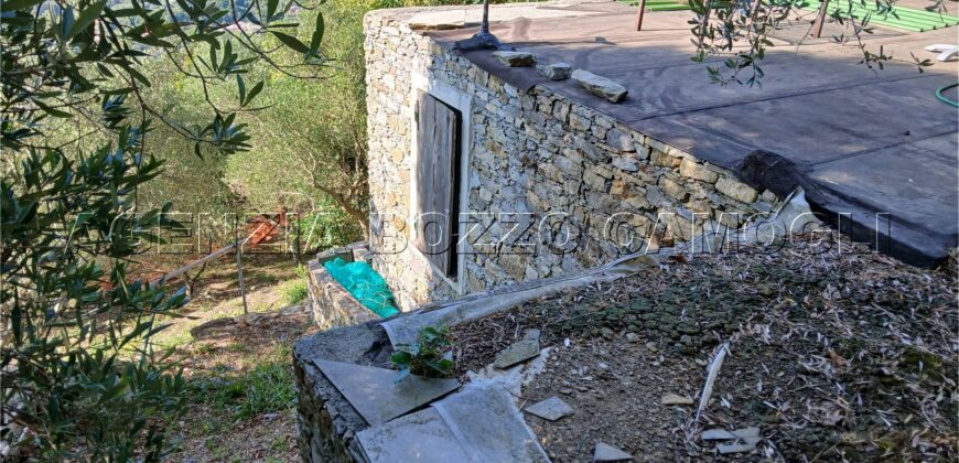 Rif. 26 – Locale con terreno Santa Margherita Ligure Rif. 26 – Locale con terreno Santa Margherita Ligure