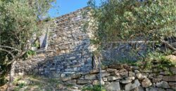 Rif. 26 – Locale con terreno Santa Margherita Ligure Rif. 26 – Locale con terreno Santa Margherita Ligure