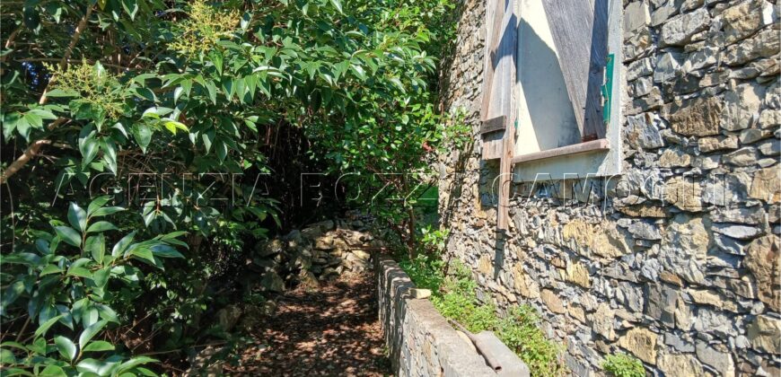 Rif. 26 – Locale con terreno Santa Margherita Ligure Rif. 26 – Locale con terreno Santa Margherita Ligure