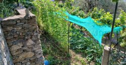 Rif. 26 – Locale con terreno Santa Margherita Ligure Rif. 26 – Locale con terreno Santa Margherita Ligure