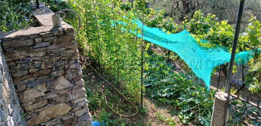 Rif. 26 – Locale con terreno Santa Margherita Ligure Rif. 26 – Locale con terreno Santa Margherita Ligure