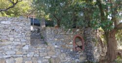Rif. 26 – Locale con terreno Santa Margherita Ligure Rif. 26 – Locale con terreno Santa Margherita Ligure