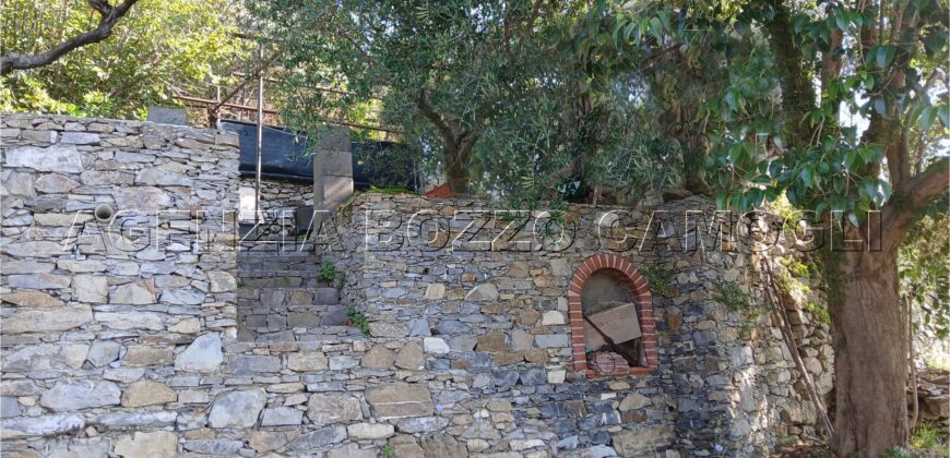 Rif. 26 – Locale con terreno Santa Margherita Ligure Rif. 26 – Locale con terreno Santa Margherita Ligure