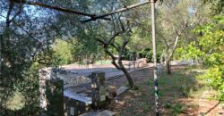 Rif. 26 – Locale con terreno Santa Margherita Ligure Rif. 26 – Locale con terreno Santa Margherita Ligure