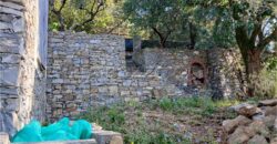 Rif. 26 – Locale con terreno Santa Margherita Ligure Rif. 26 – Locale con terreno Santa Margherita Ligure