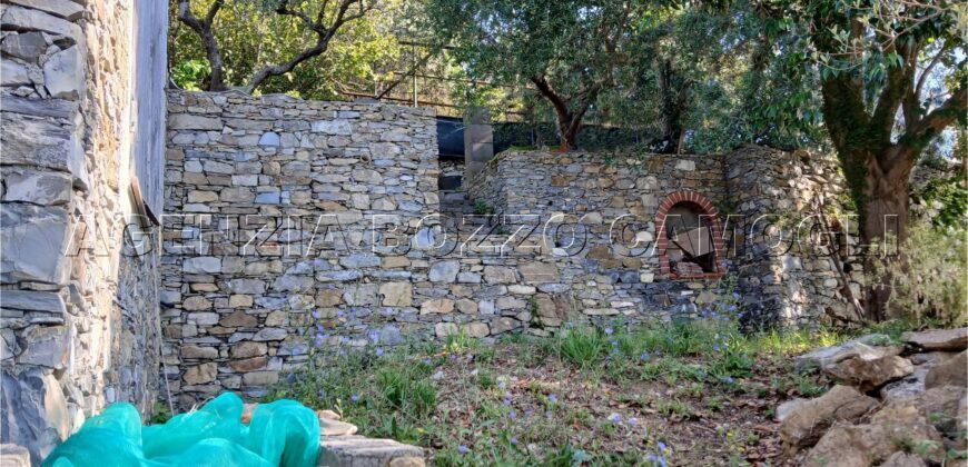 Rif. 26 – Locale con terreno Santa Margherita Ligure Rif. 26 – Locale con terreno Santa Margherita Ligure
