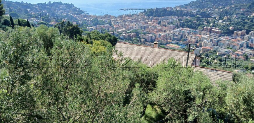 Rif. 26 – Locale con terreno Santa Margherita Ligure Rif. 26 – Locale con terreno Santa Margherita Ligure