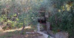 Rif. 26 – Locale con terreno Santa Margherita Ligure Rif. 26 – Locale con terreno Santa Margherita Ligure