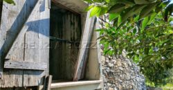 Rif. 26 – Locale con terreno Santa Margherita Ligure Rif. 26 – Locale con terreno Santa Margherita Ligure