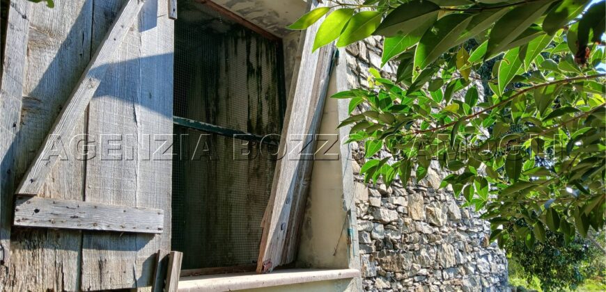 Rif. 26 – Locale con terreno Santa Margherita Ligure Rif. 26 – Locale con terreno Santa Margherita Ligure