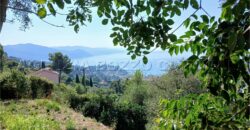 Rif. 26 – Locale con terreno Santa Margherita Ligure Rif. 26 – Locale con terreno Santa Margherita Ligure