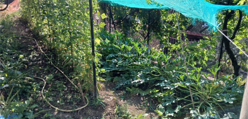 Rif. 26 – Locale con terreno Santa Margherita Ligure Rif. 26 – Locale con terreno Santa Margherita Ligure