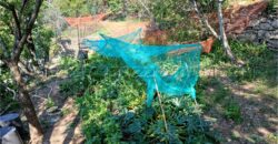 Rif. 26 – Locale con terreno Santa Margherita Ligure Rif. 26 – Locale con terreno Santa Margherita Ligure