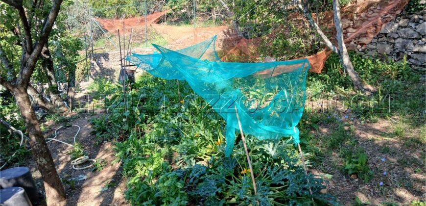 Rif. 26 – Locale con terreno Santa Margherita Ligure Rif. 26 – Locale con terreno Santa Margherita Ligure